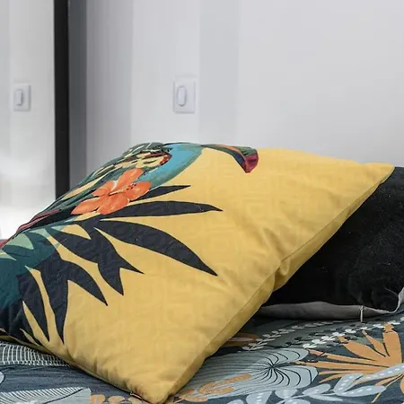 Cocooning Au Coeur De La Cite Imperiale アジャクシオ